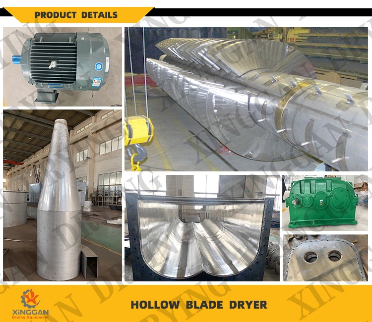 Spray/Vacuum/Steam Air/Oven/Xsg Spin Flash/Disc/Drum Kiln/Cone/Belt/Plate/Hollow Blade Shaft Rotary Rake Paddle Dryer for Paste, Slurry, Sludge, Powder, Fly Ash